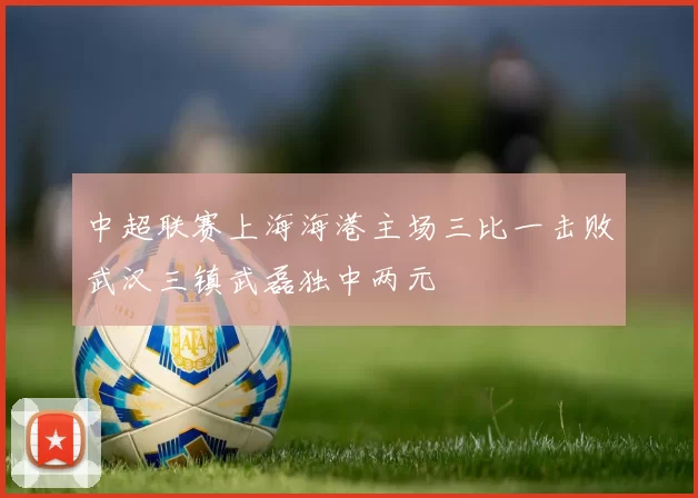 中超联赛上海海港主场三比一击败武汉三镇武磊独中两元