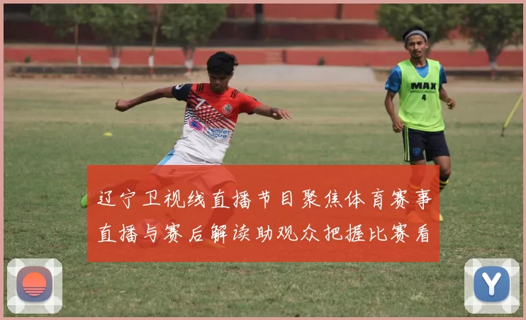 辽宁卫视线直播节目聚焦体育赛事直播与赛后解读助观众把握比赛看点