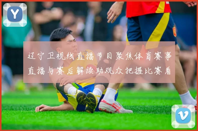 辽宁卫视线直播节目聚焦体育赛事直播与赛后解读助观众把握比赛看点