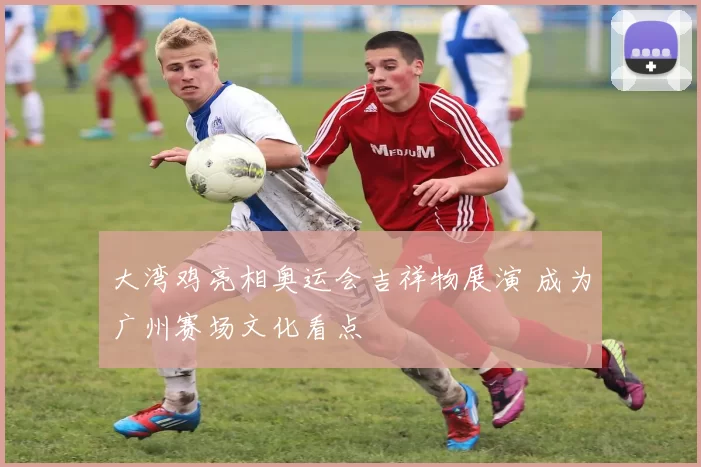 大湾鸡亮相奥运会吉祥物展演 成为广州赛场文化看点
