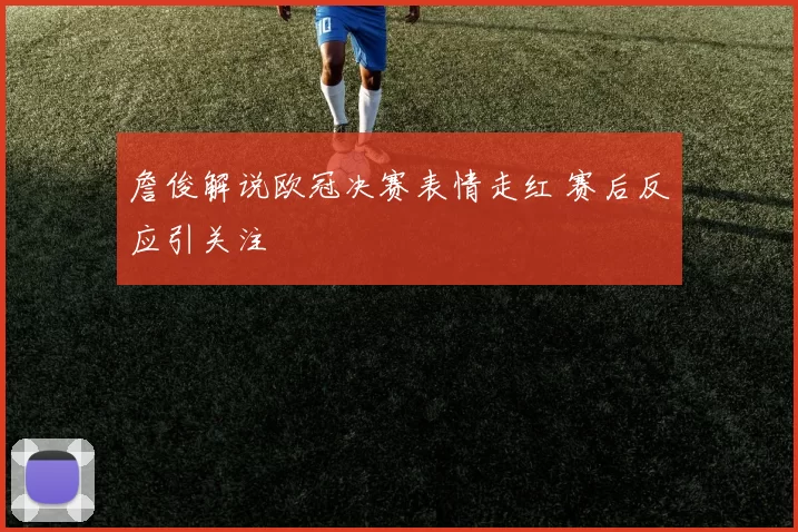 詹俊解说欧冠决赛表情走红 赛后反应引关注